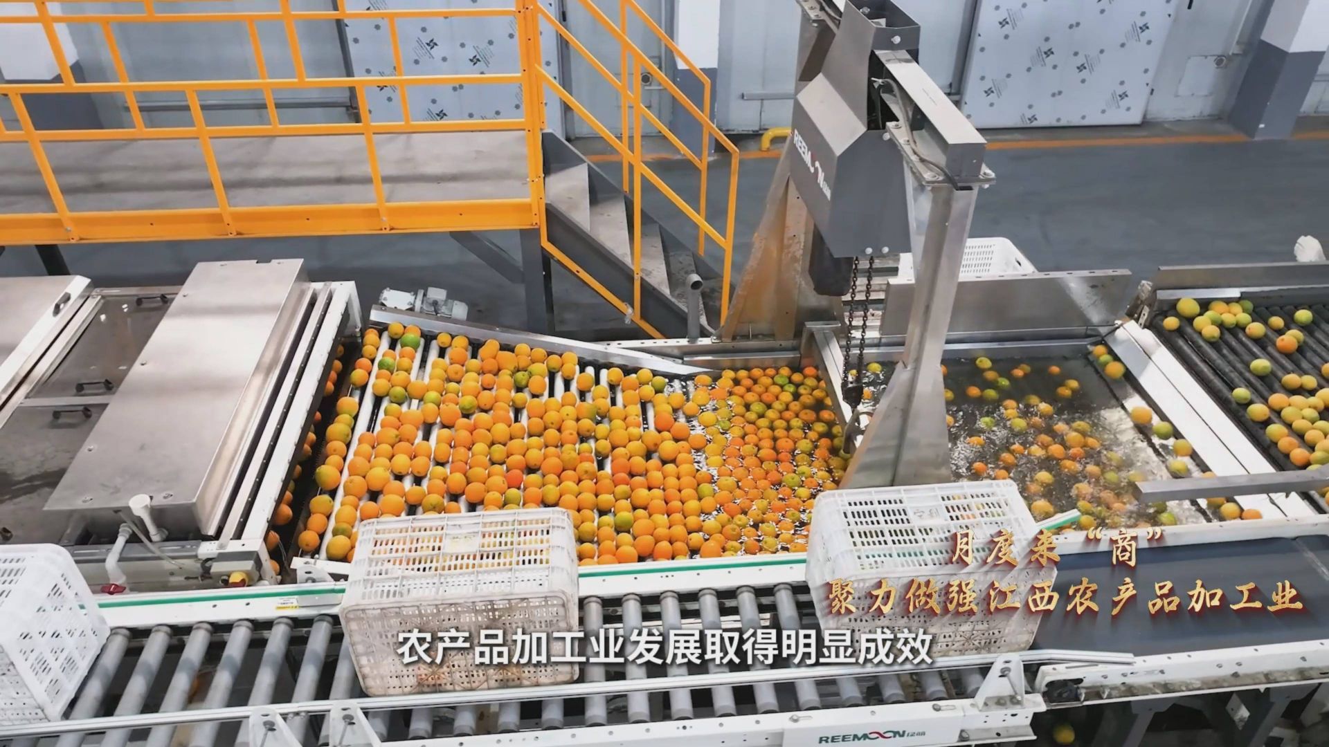 聚力做強江西農產品加工業