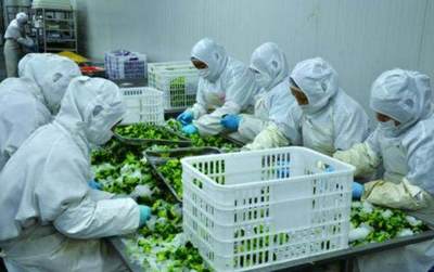 明確目標，把握機遇 國家500萬補貼助力農產品加工發展