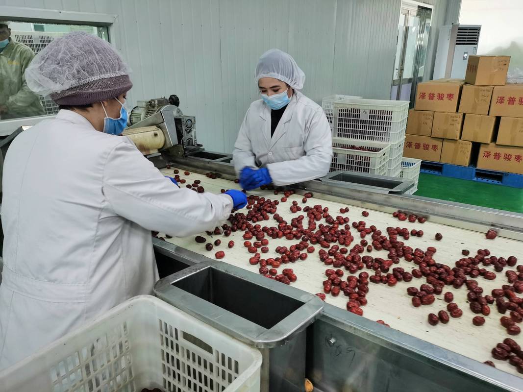 上海援疆 農產品深加工助推鄉村振興開新局