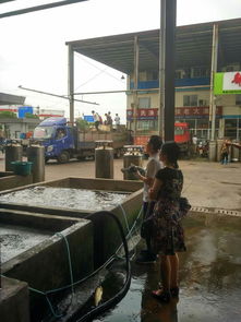 加工所質檢中心部級農產品質量安全監測專項工作有序開展