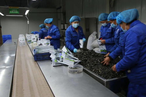 充滿希望的土地——全州農牧業產業現場觀摩見聞