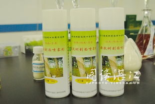 湛江科技人 你可能不知道的橡膠樹(shù)“防寒衣”——農(nóng)產(chǎn)品加工研究所的精彩故事