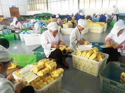 保山市農(nóng)產(chǎn)品加工業(yè) 邁上高質(zhì)量發(fā)展新臺(tái)階