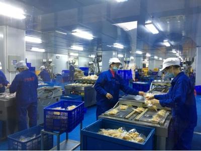 柳州鄉(xiāng)村振興新引擎 聚焦產(chǎn)業(yè)融合，擘畫(huà)農(nóng)產(chǎn)品加工新圖景