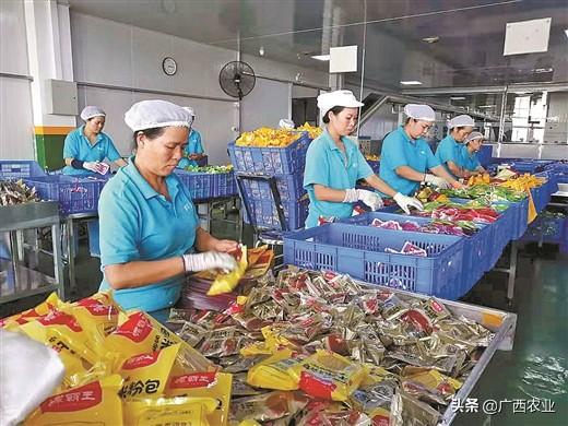 加工帶動(dòng)產(chǎn)業(yè)升級(jí)，廣西“好嘢”農(nóng)產(chǎn)品香飄萬(wàn)里