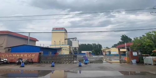 商河縣企業(yè)榮膺省級(jí)農(nóng)產(chǎn)品加工業(yè)示范企業(yè)稱號(hào)，引領(lǐng)產(chǎn)業(yè)升級(jí)新篇章